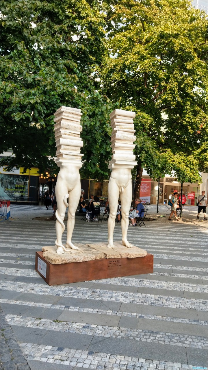 imag9626-1
