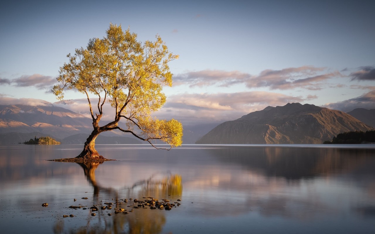 lake-wanaka-new-zealand-liam-hardy